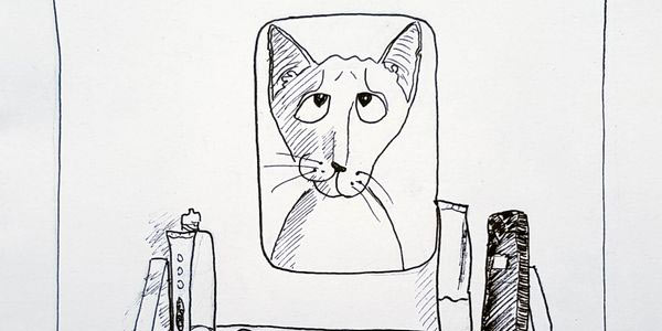 29.  Baldie-Cat-Heid