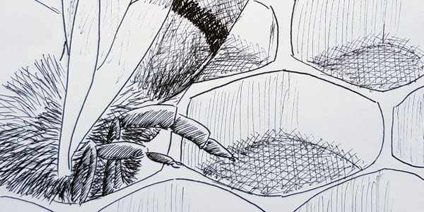 37.  Cell Mates:  “Honey, I’m Home!”