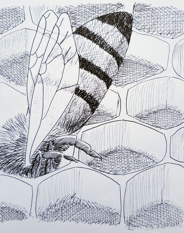 Bee Hiding