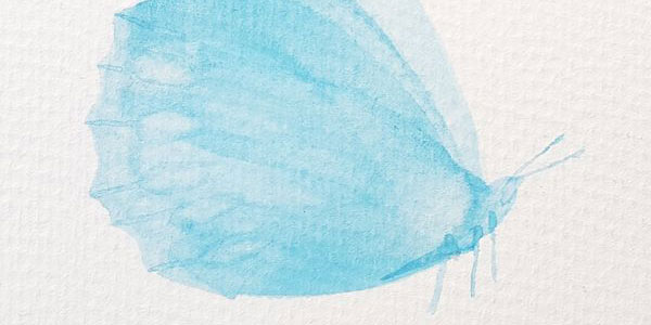 35.  Painting Butterflies