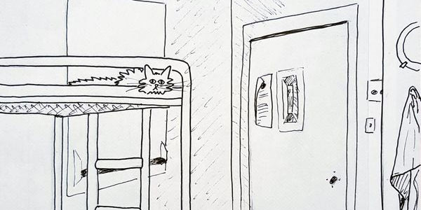 18.  Fluffy Cat In A Prison Cell