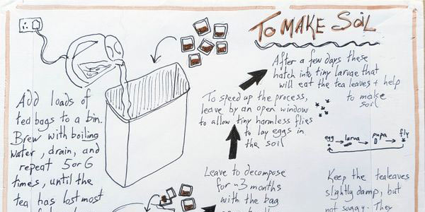 15.  How To Make Compost In A Prison Cell