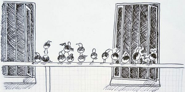 17.  Kinship In Prison