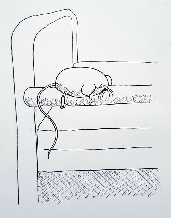 Sad Mouse