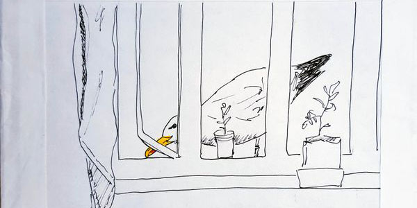 38.  A Seagull Lands