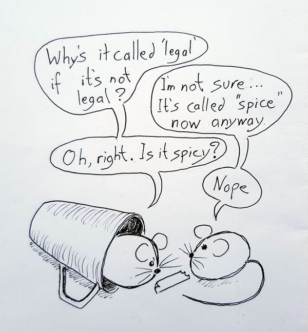 Spice