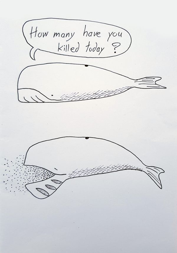 Whales