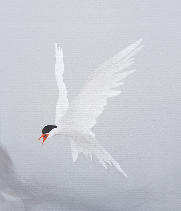 Tern
